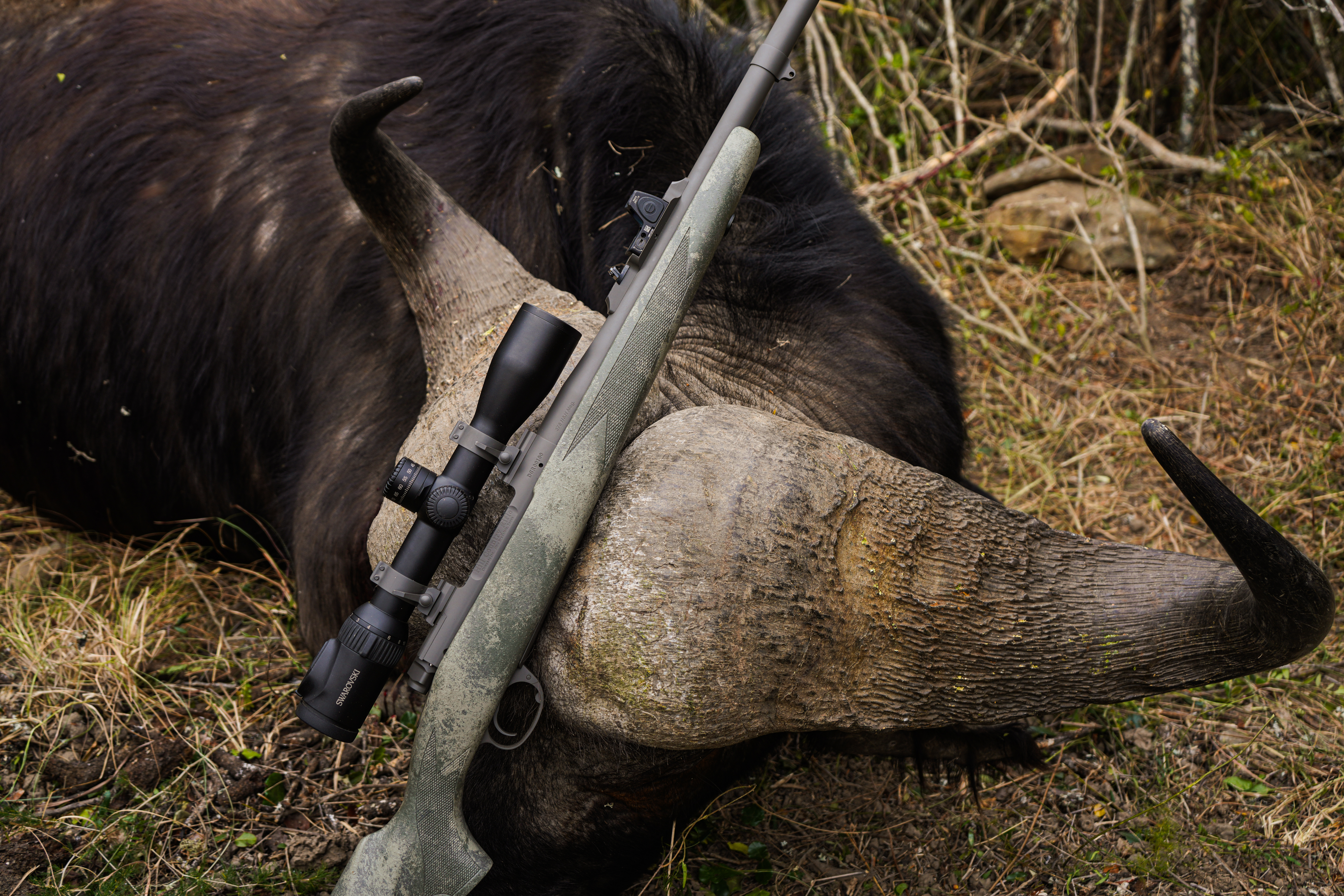 Alternative banner alt