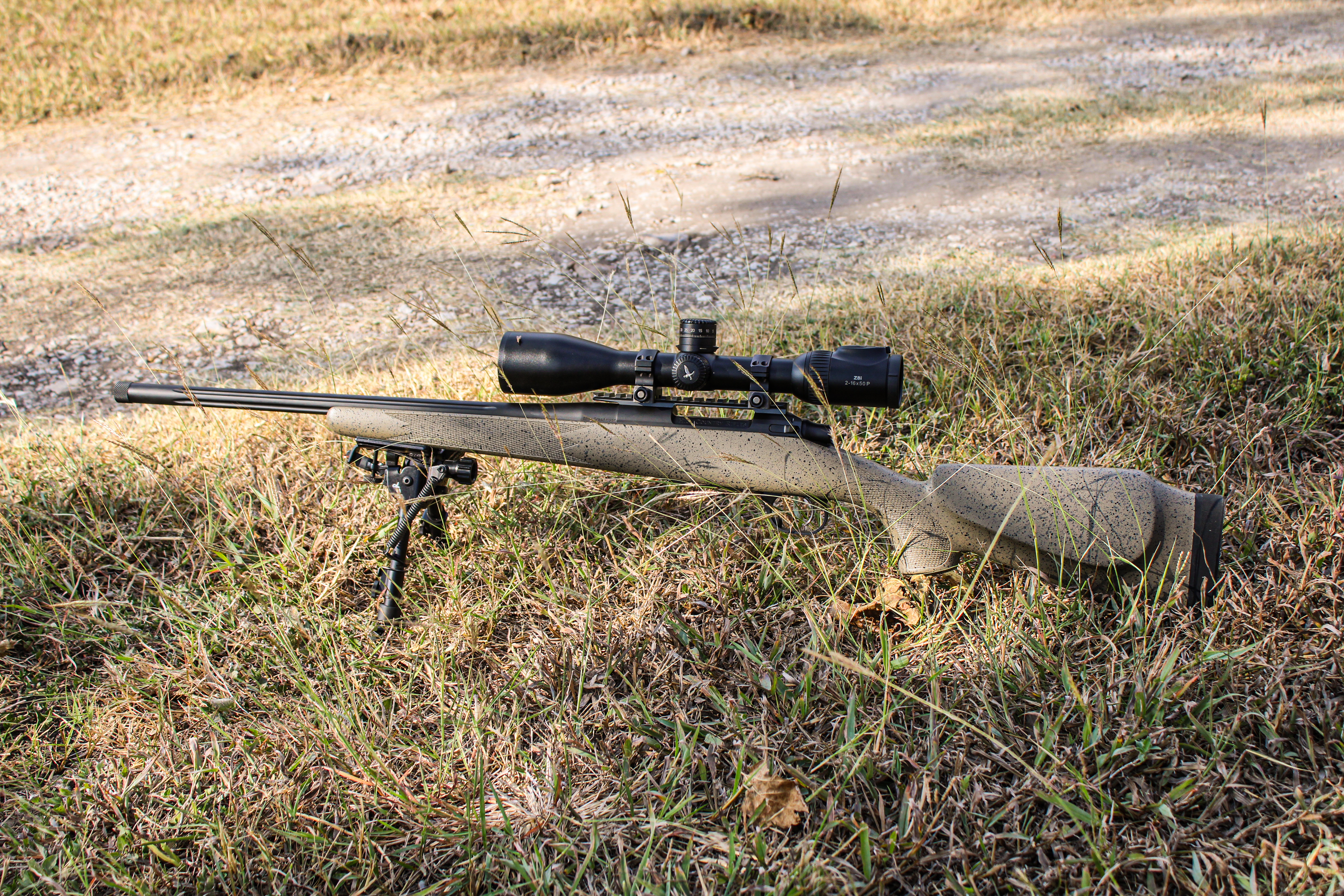 Alternative banner alt