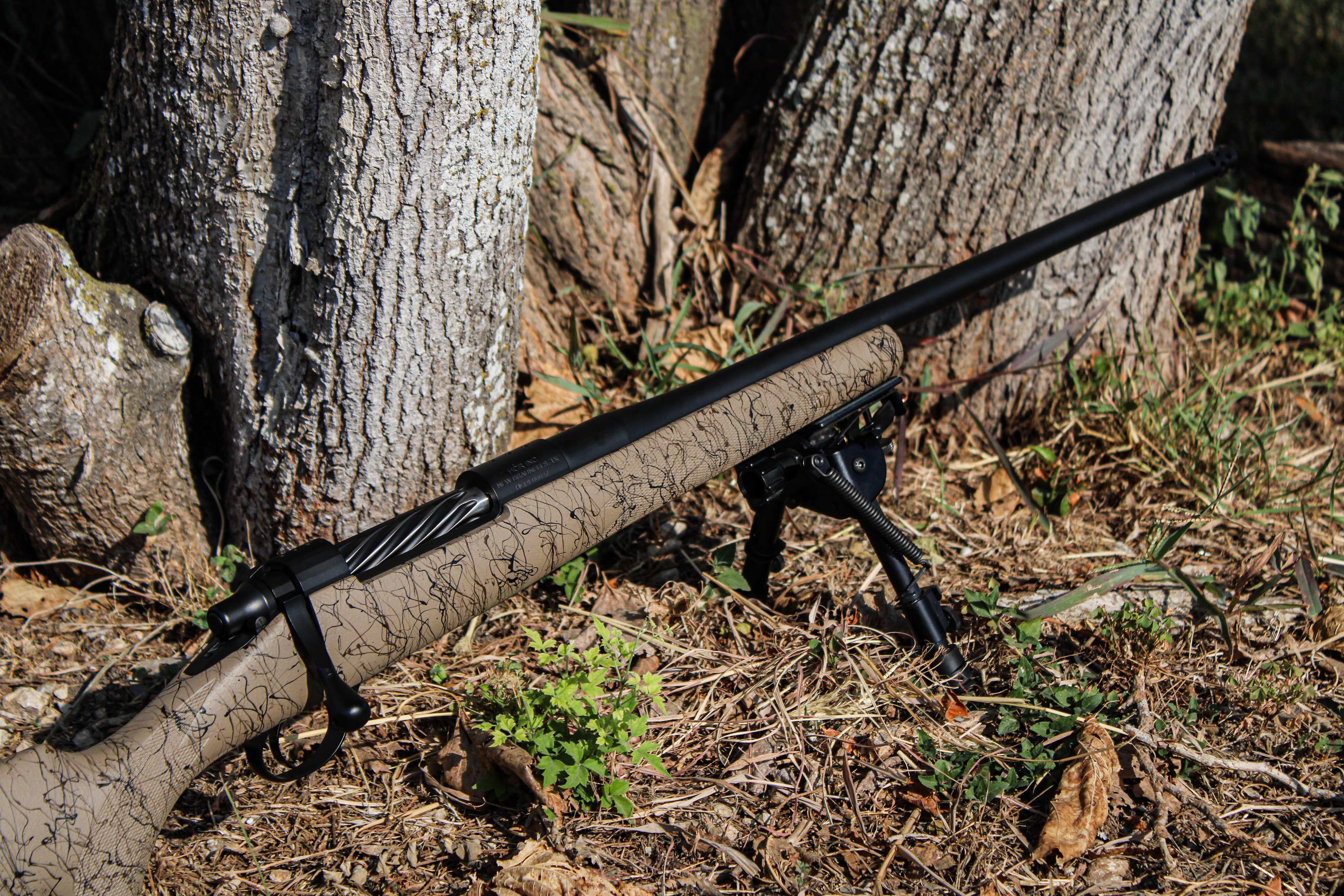 Alternative banner alt